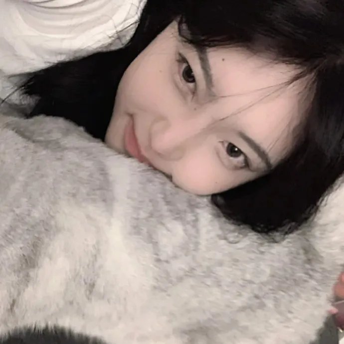 超级救援狗