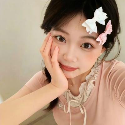 鬣狗之路